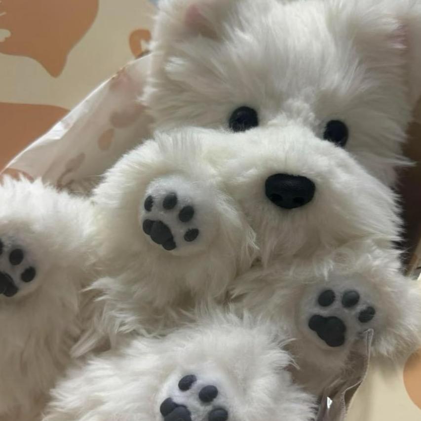 维尼🐻