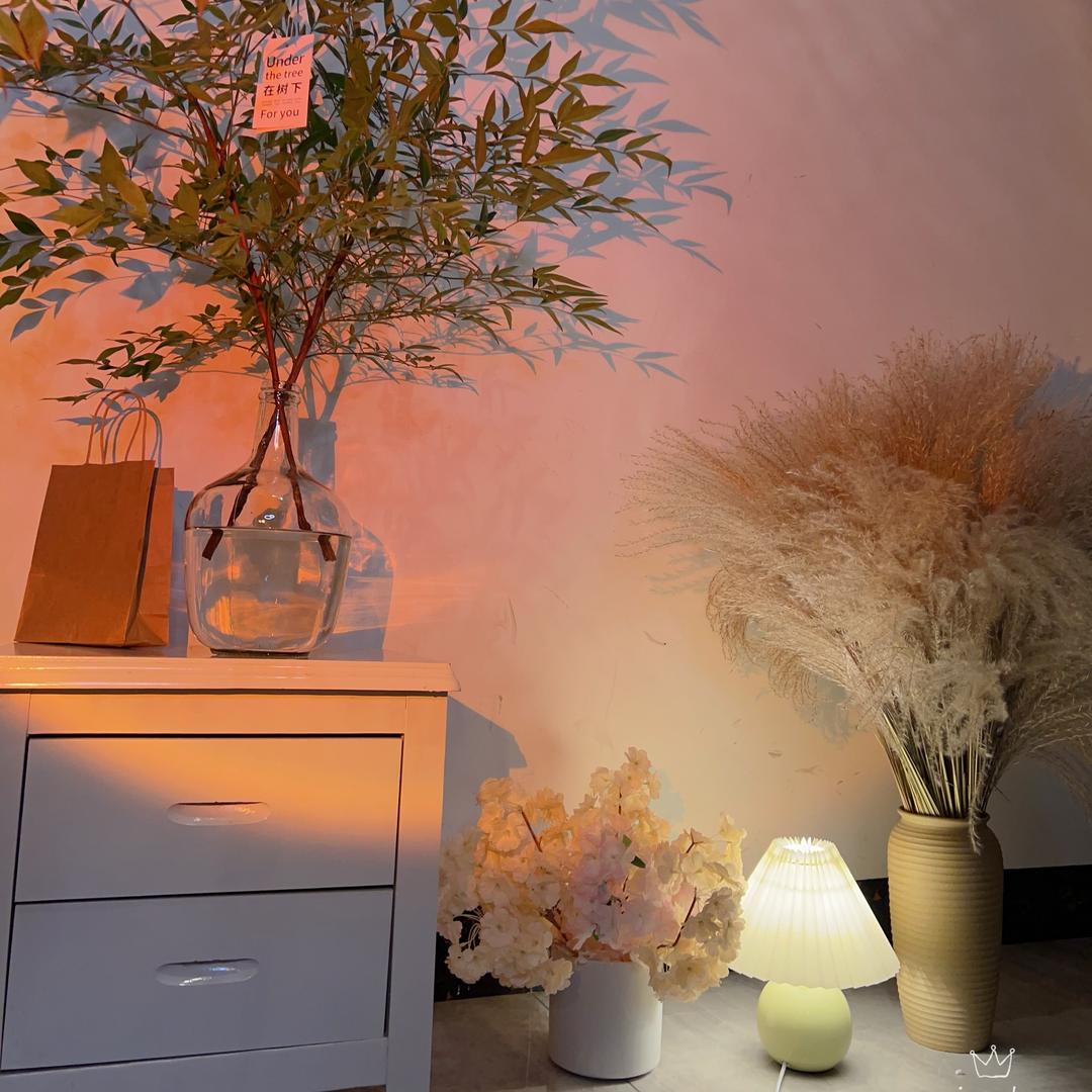 宇深花卉二号店