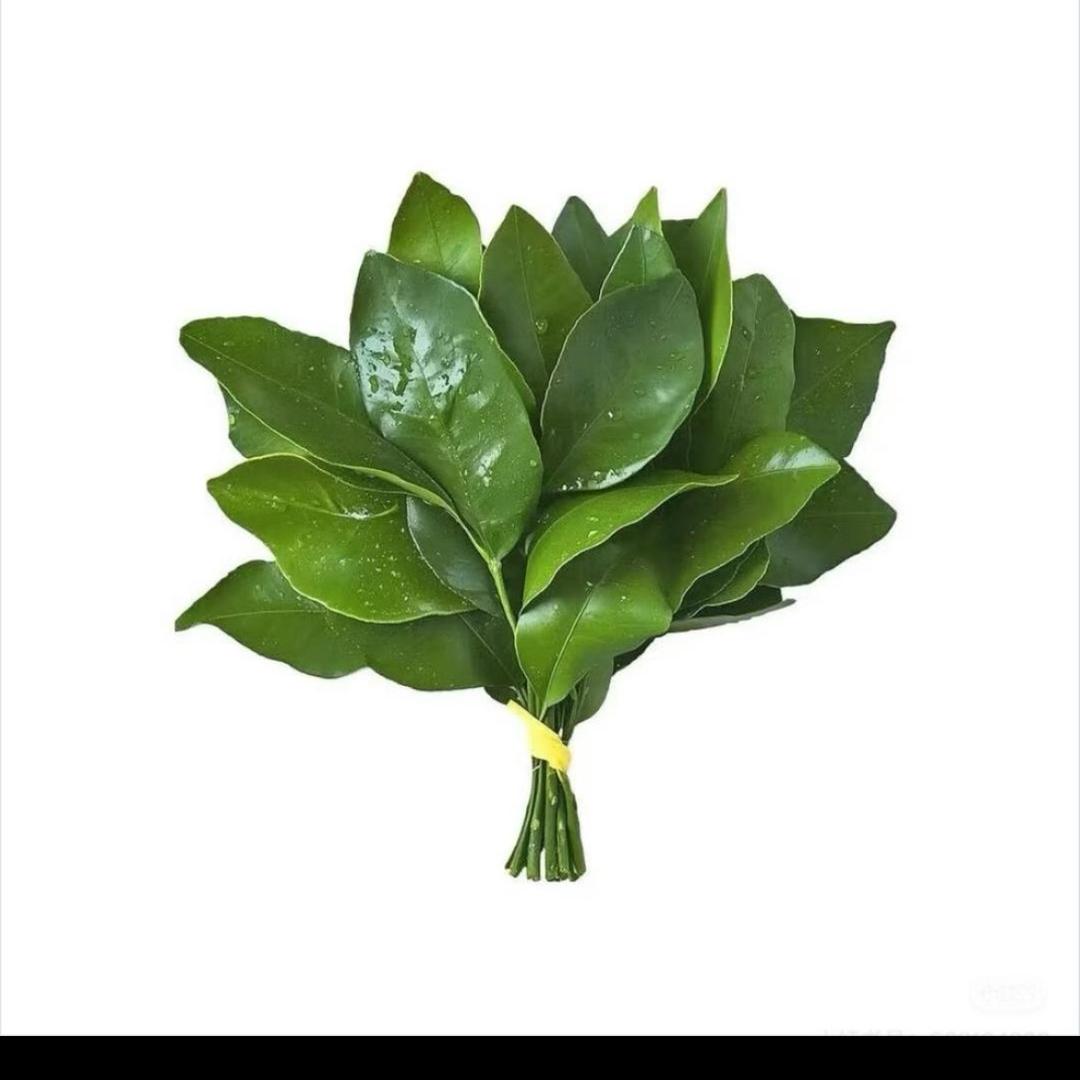 好运常在～