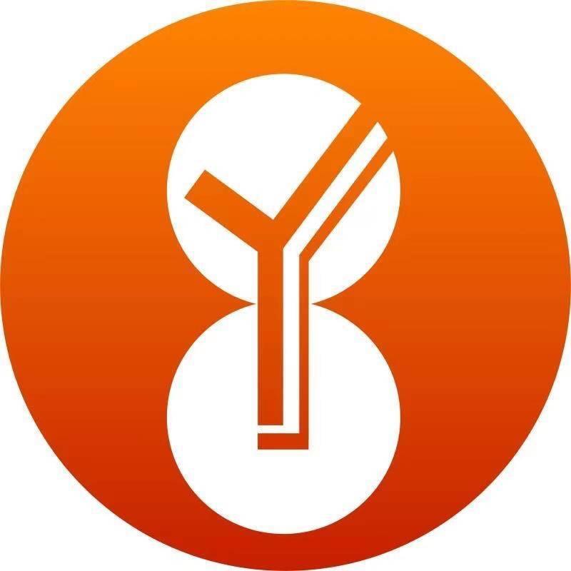 YY桌球棋牌俱乐部