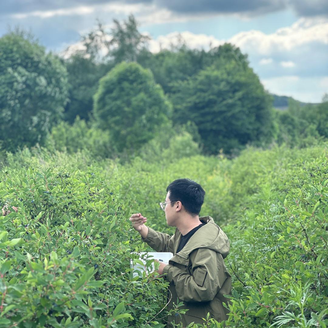 阿木（山野）@抖音