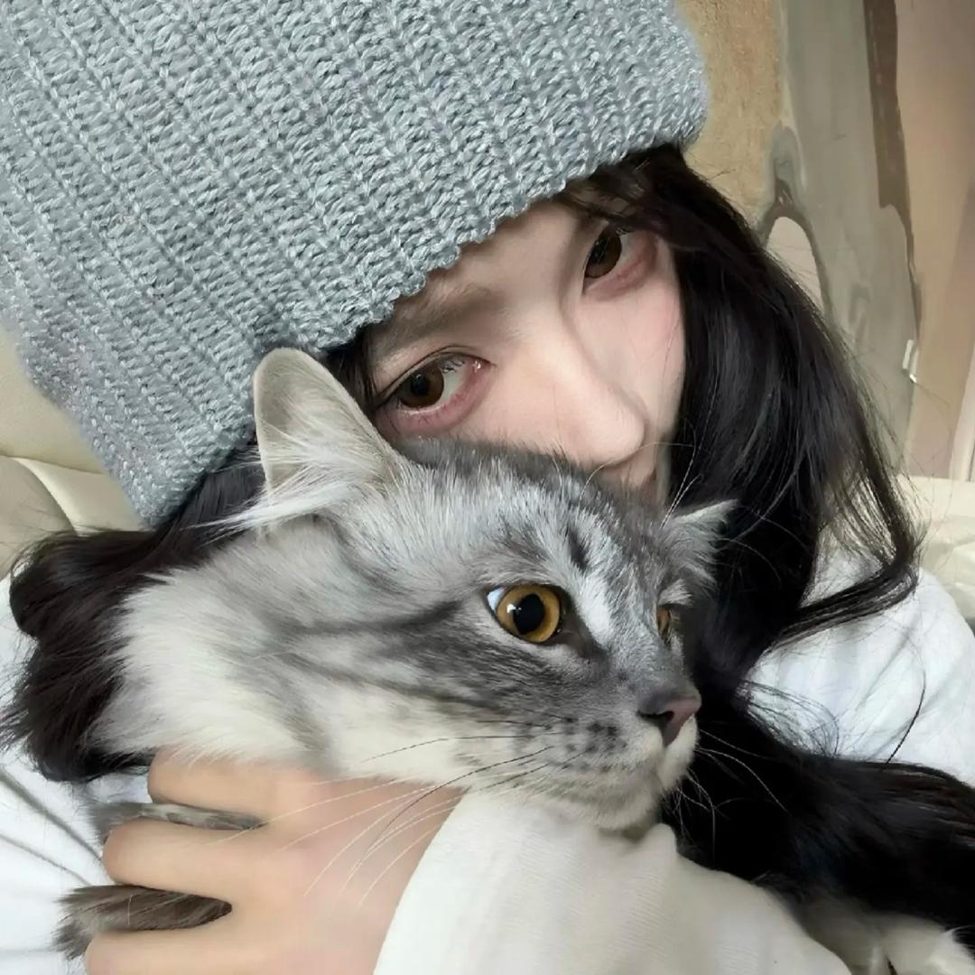 门口那只狗