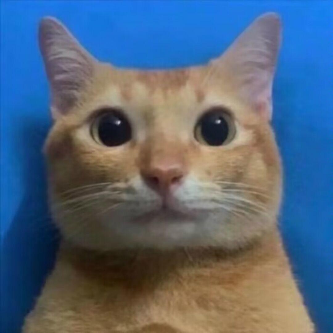 闪电球