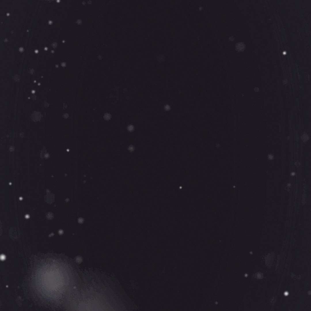 班级聚会黑胡椒