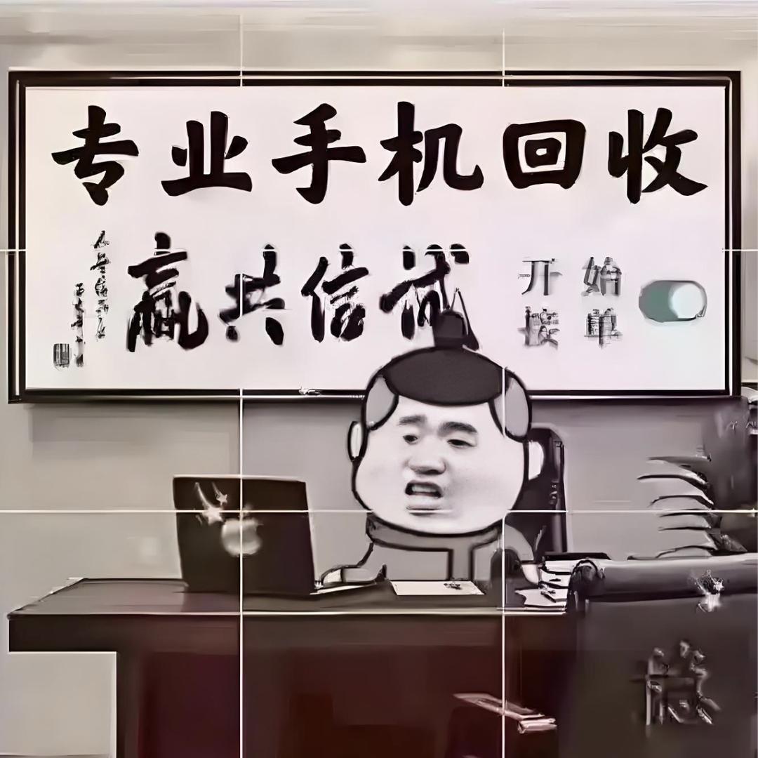 龙龙爱收机