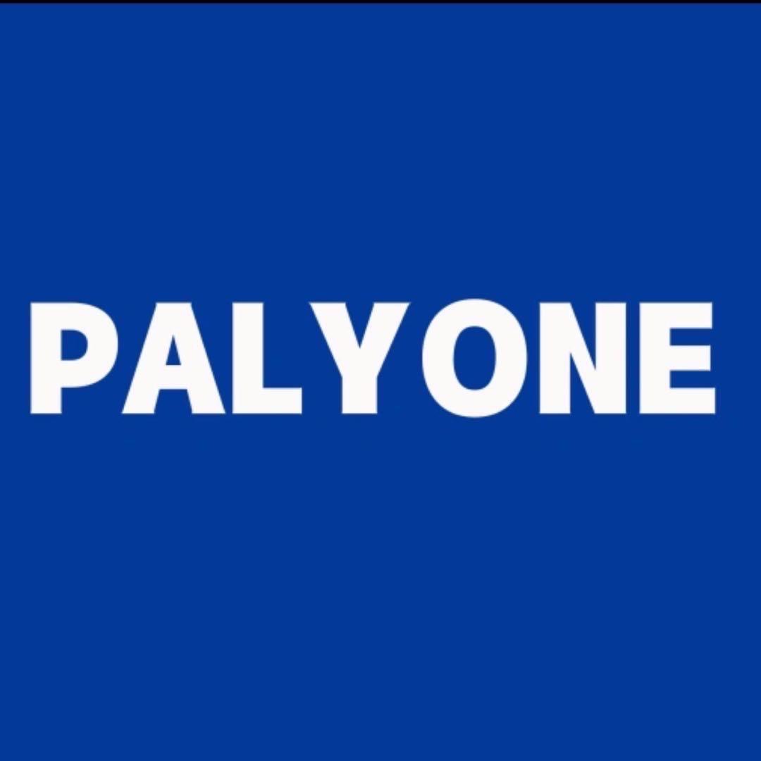 PALYONE