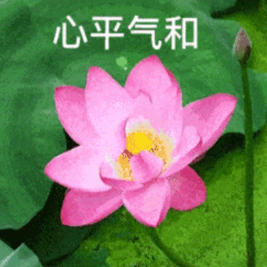 吃饭不玩手机