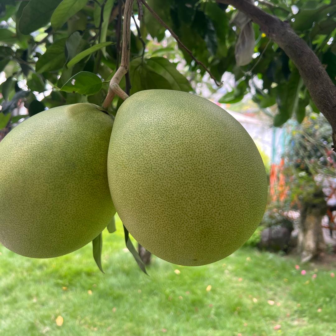 大学城附近的京东家电