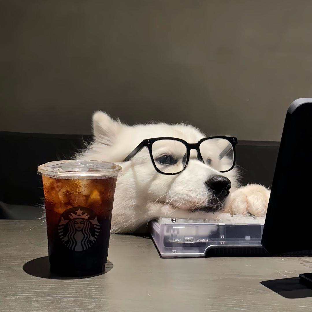 7-（𝙠𝙞𝙩𝙩𝙮唯一大侄）