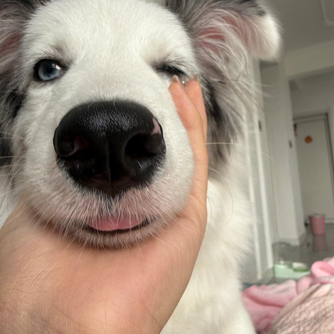 泡泡的久久