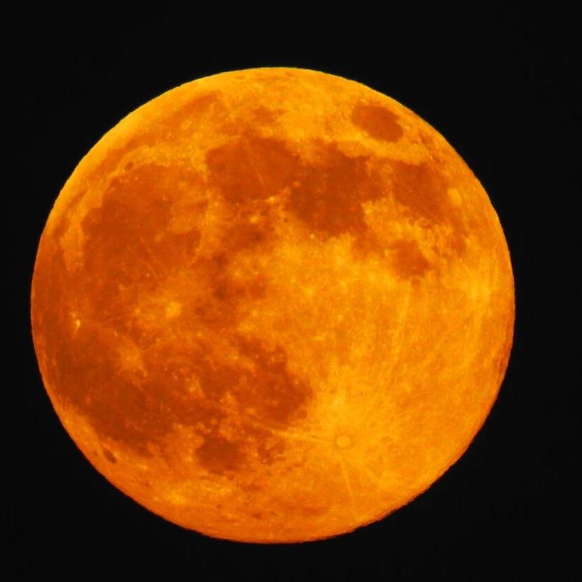 内蒙古二哥商贸优品小铺