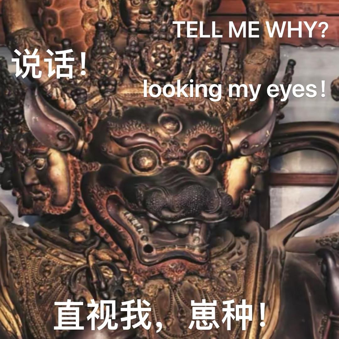 邪恶柴柴大王