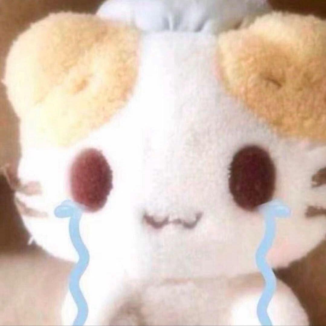 咩咩丸崽的朋友圈