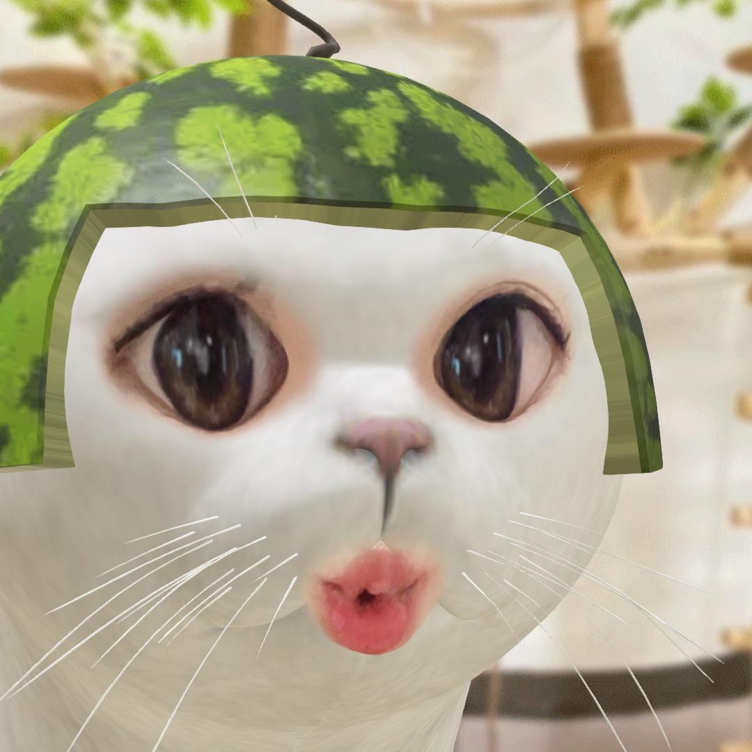 忧郁小土豆