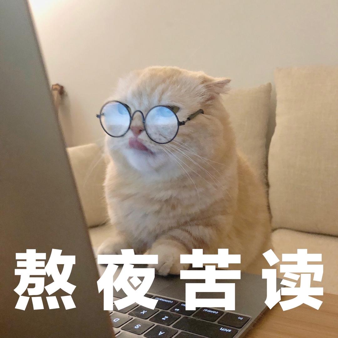 神秘网友🦋
