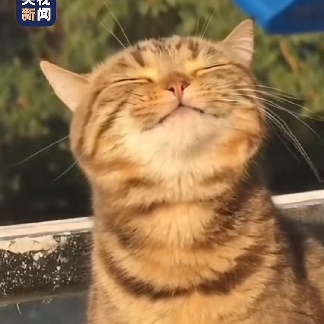宠爱