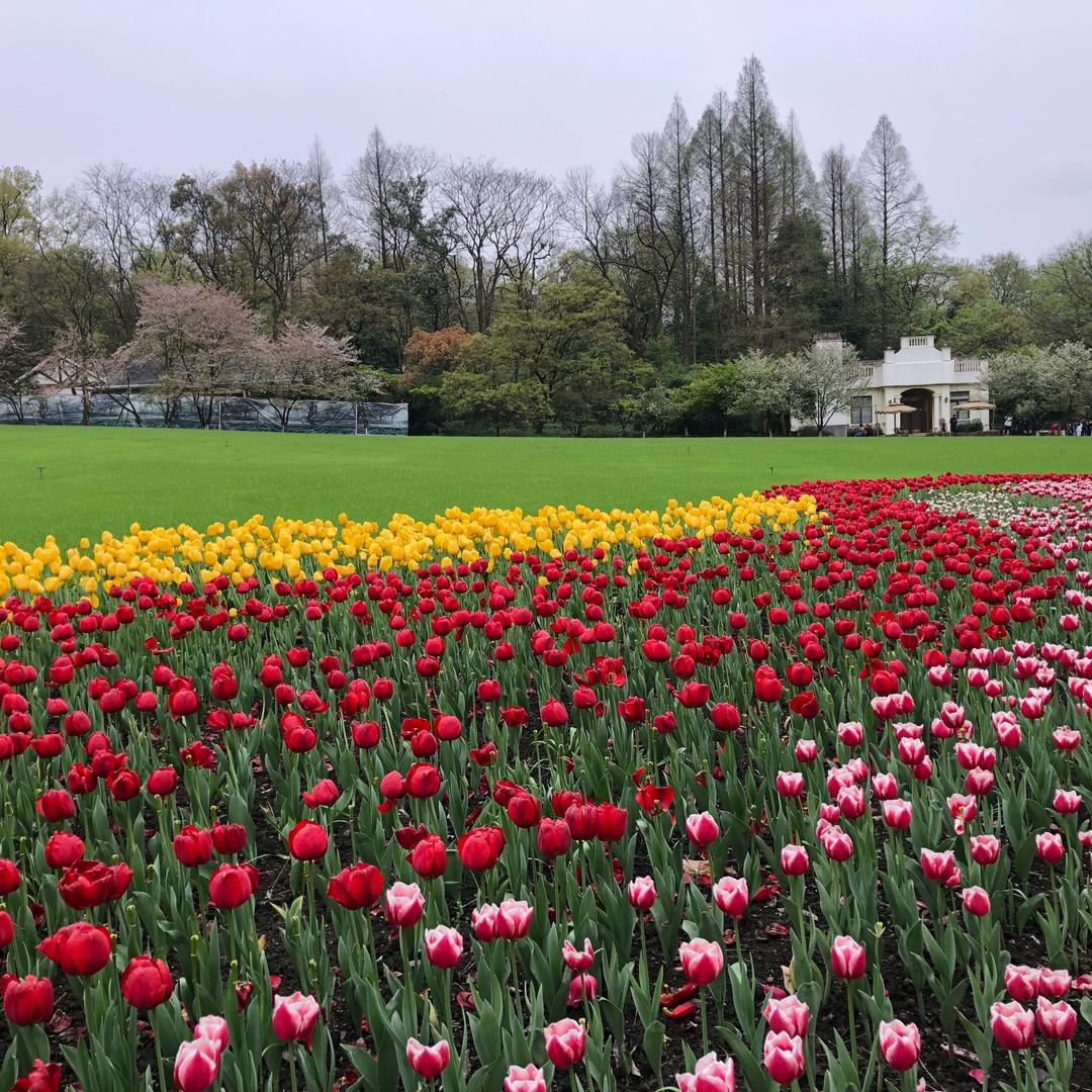 如瑜优质甄选🐟