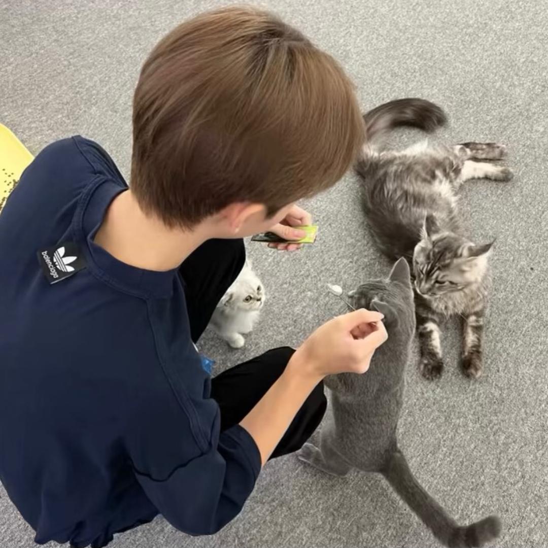 重生之变成女神痔疮让她欲仙欲死
