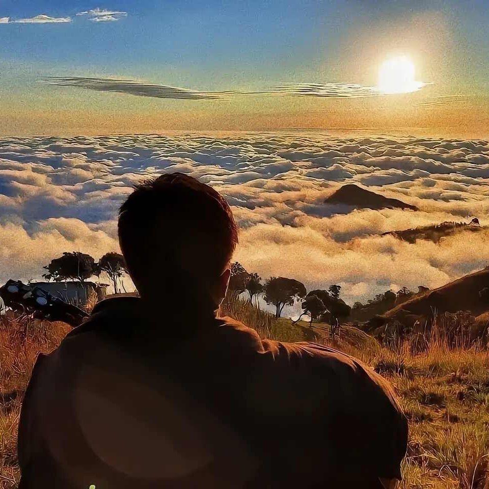 电商-晨曦