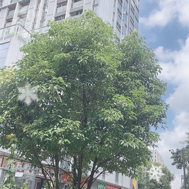 用户2278260808899