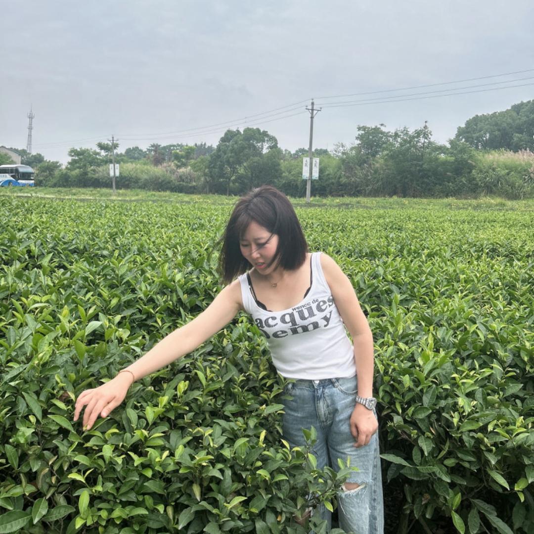 我是春春
