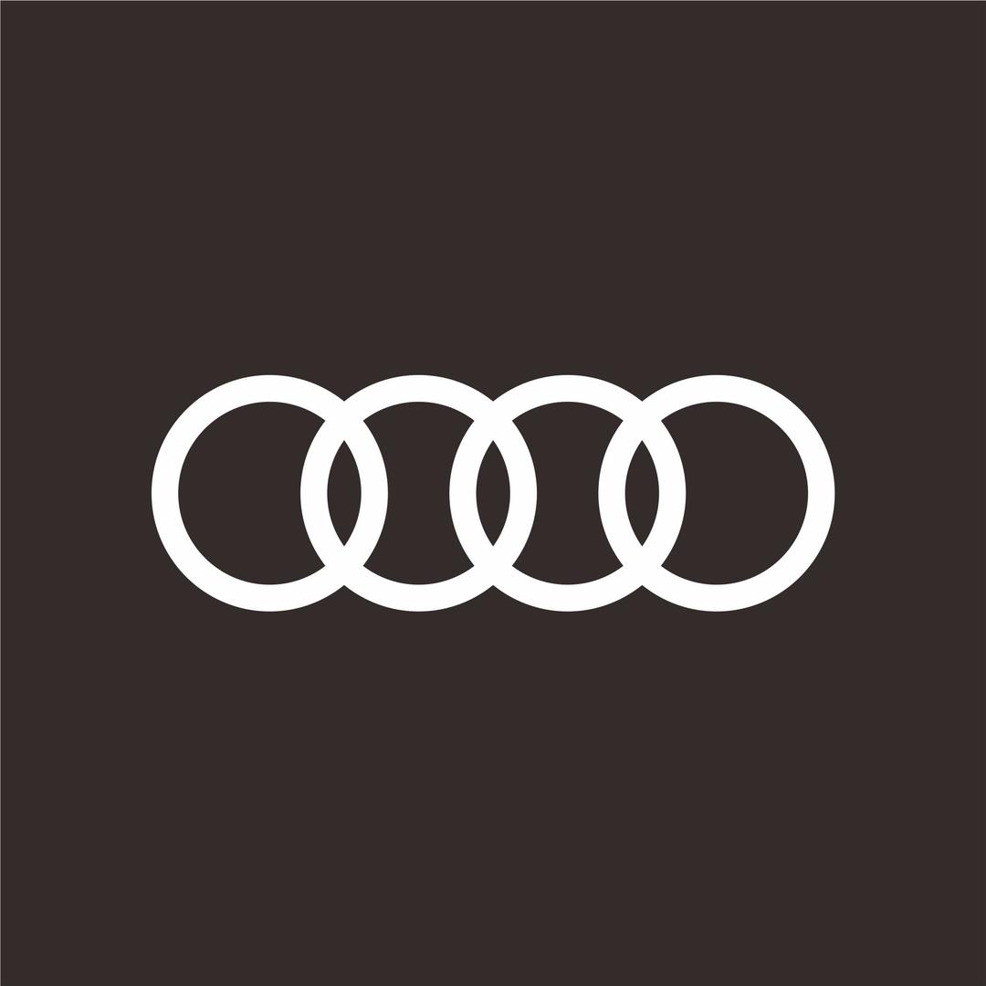 一汽奥迪新能源-池州中迪