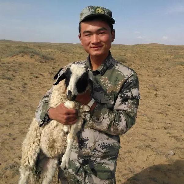 炊事班喂猪兵