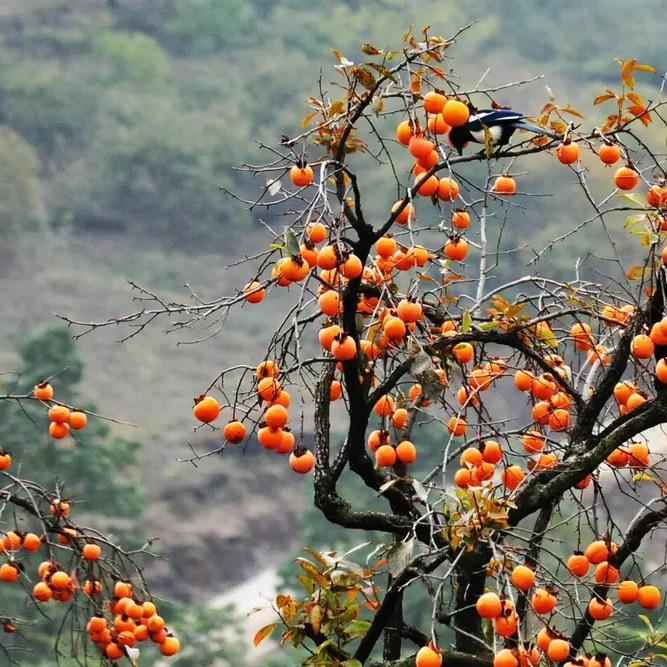 三人行必有师051470