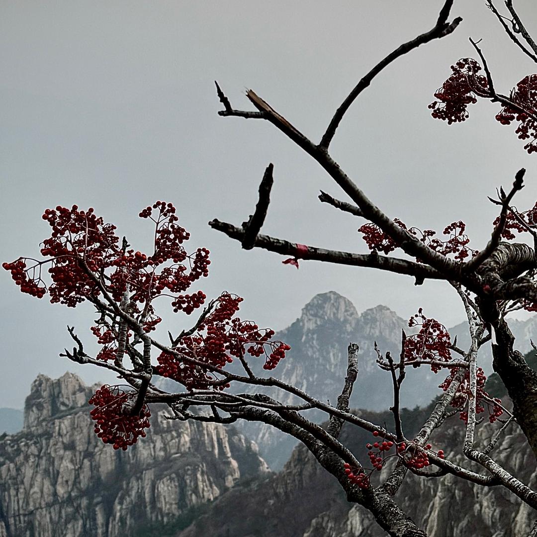 张同学🧑‍🎓