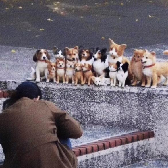 嘻嘻李🐑