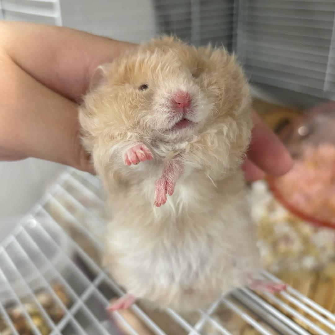 例外💗（出熊🐻）