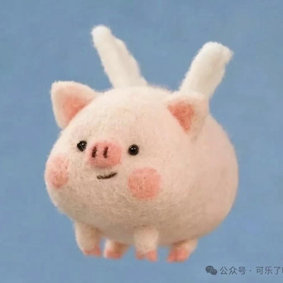 猪猪的猪猪