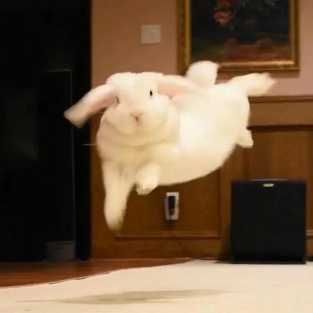 函函