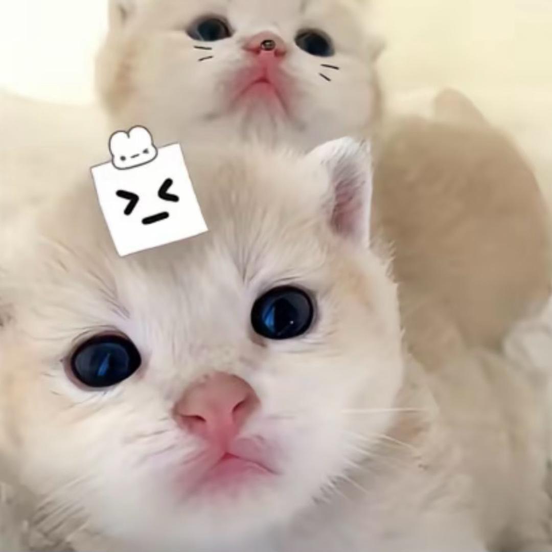 鎏熵（橙橙控）