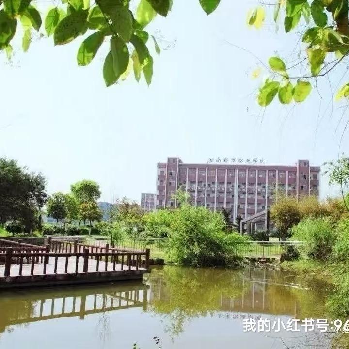 都市的墨墨学姐（至学）