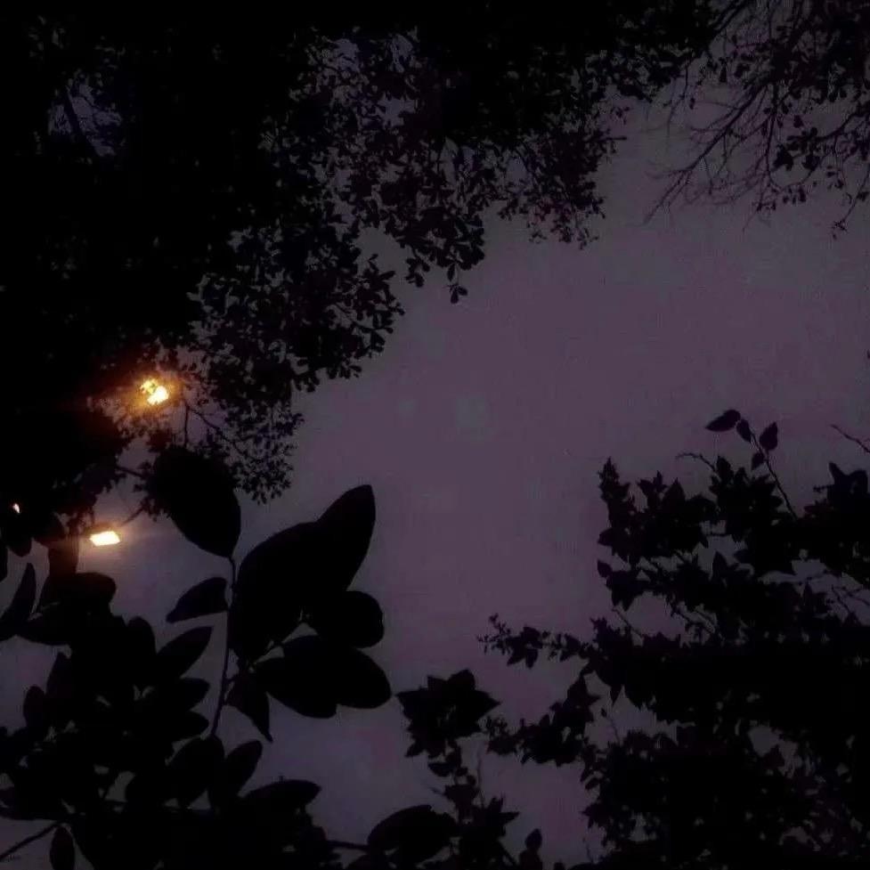 今晚有星星•••••