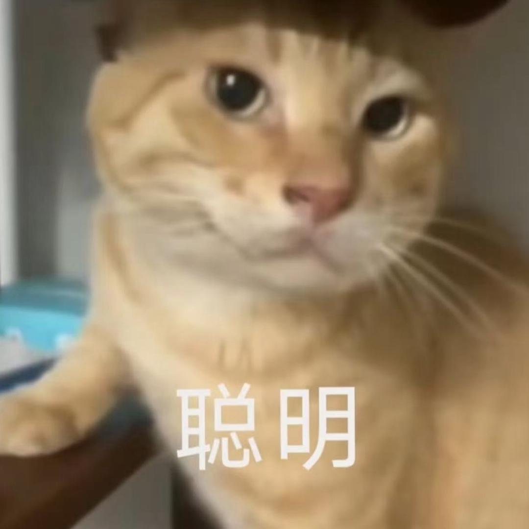 霹雳小球球