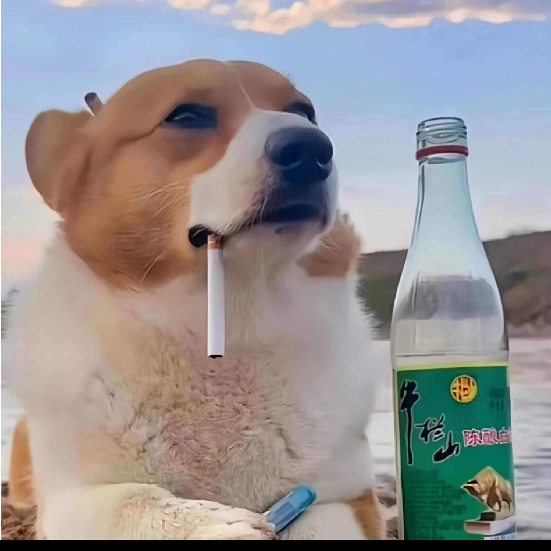 正经不过三秒(๑˃̵ᴗ˂̵)