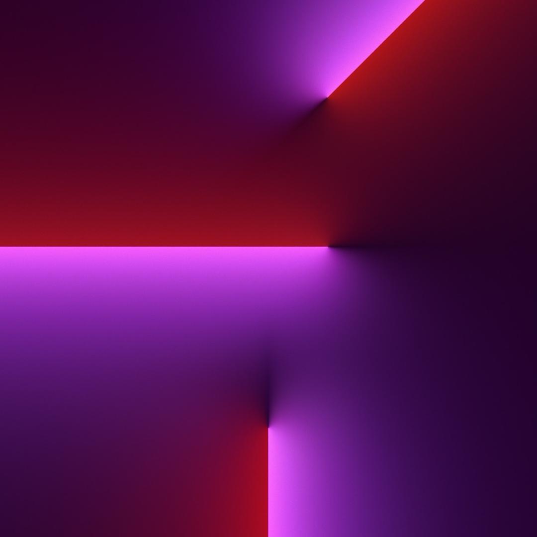 ……………………………………………………