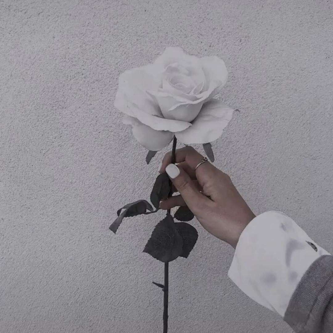 ⌓‿⌓