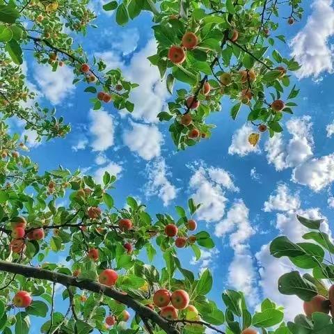 财源滚滚！