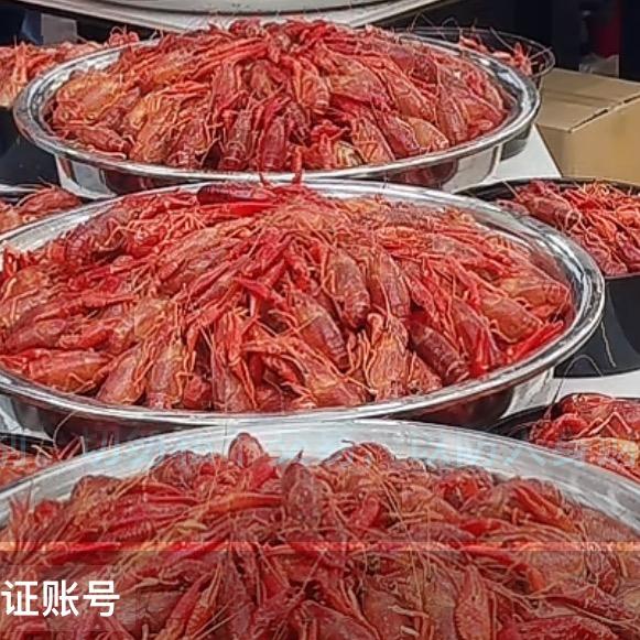 虾皇尚龙虾馆三敦店