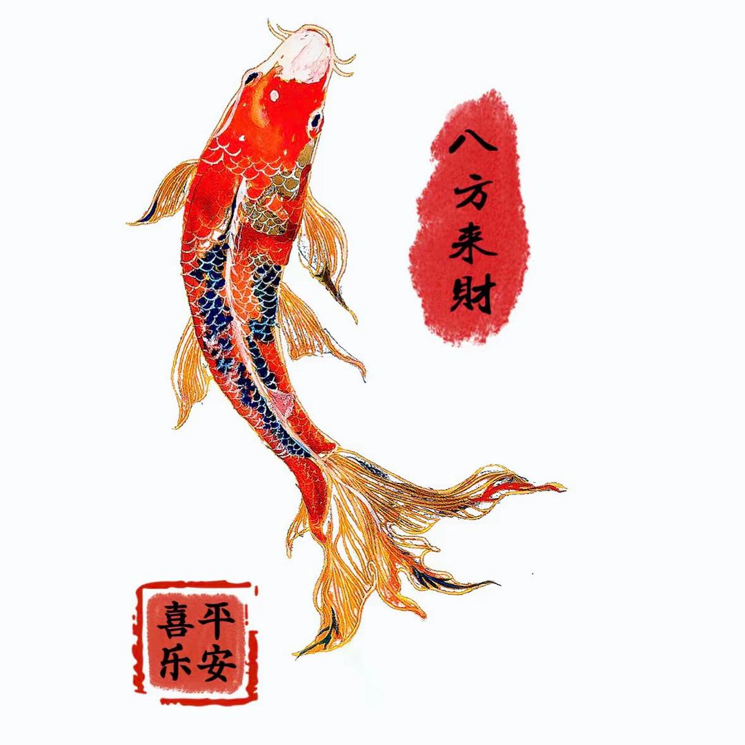 小辰辰鱼