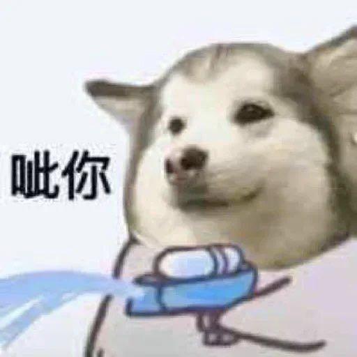 明天饶过谁