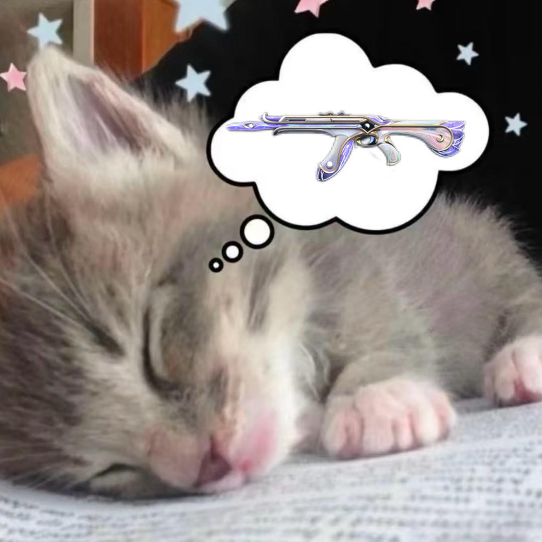 猫猫ak重度依赖