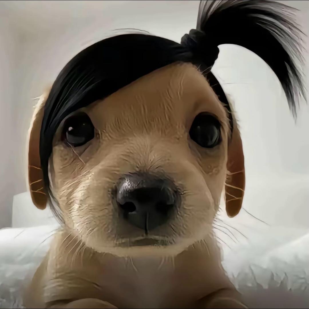 正义的大便