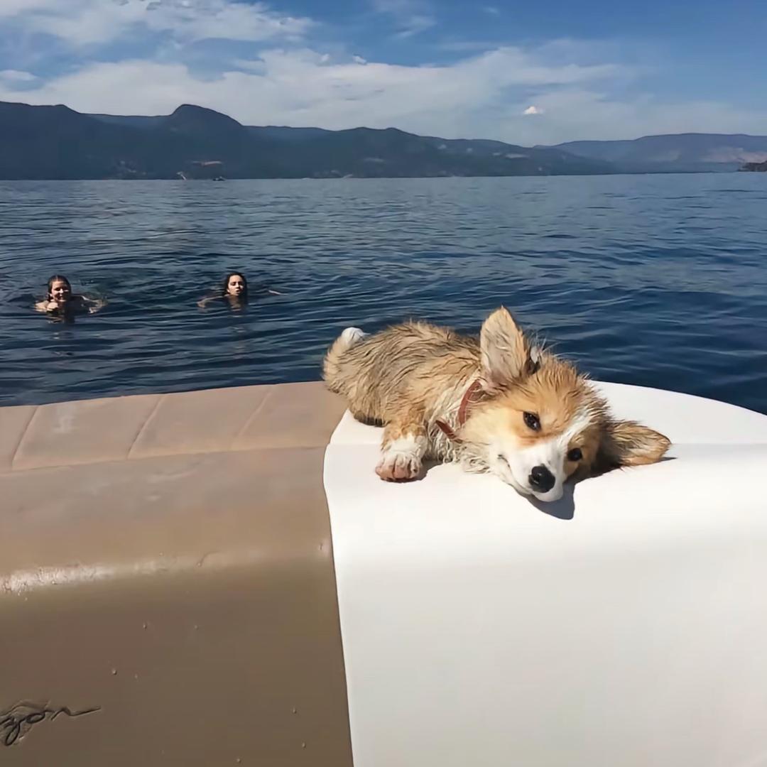 随缘ㅤㅤㅤㅤㅤㅤㅤㅤㅤ