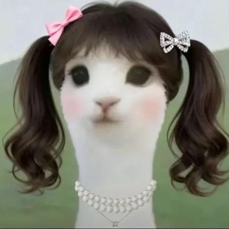 wo_o.