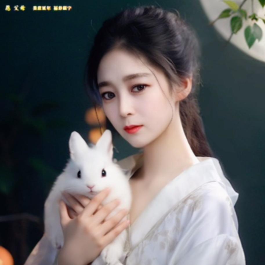 笨笨也可爱1314