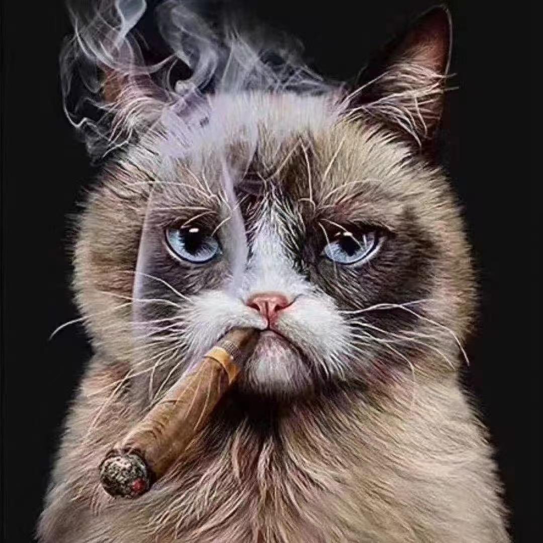 不一样的世界
